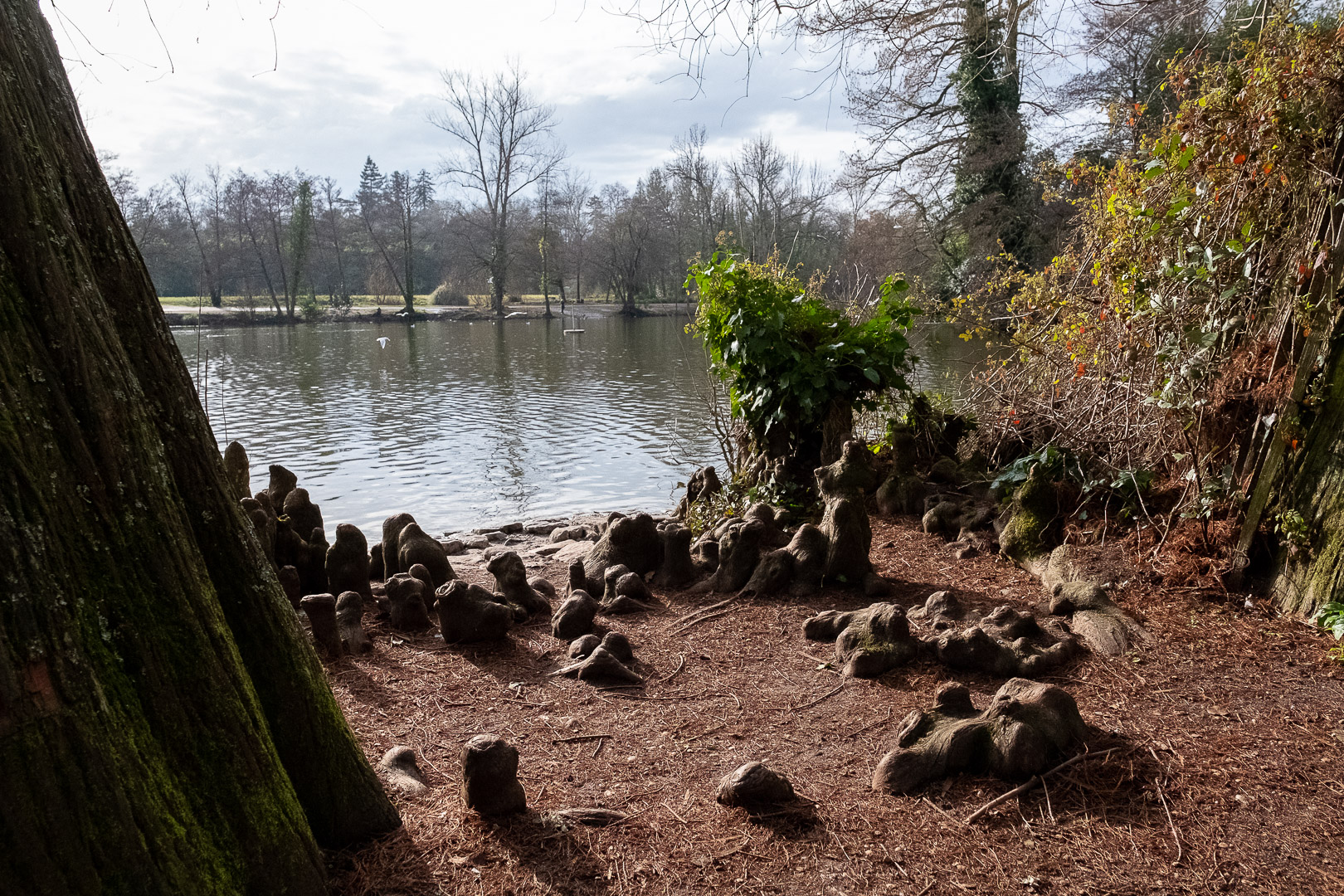 Parc de Bourran