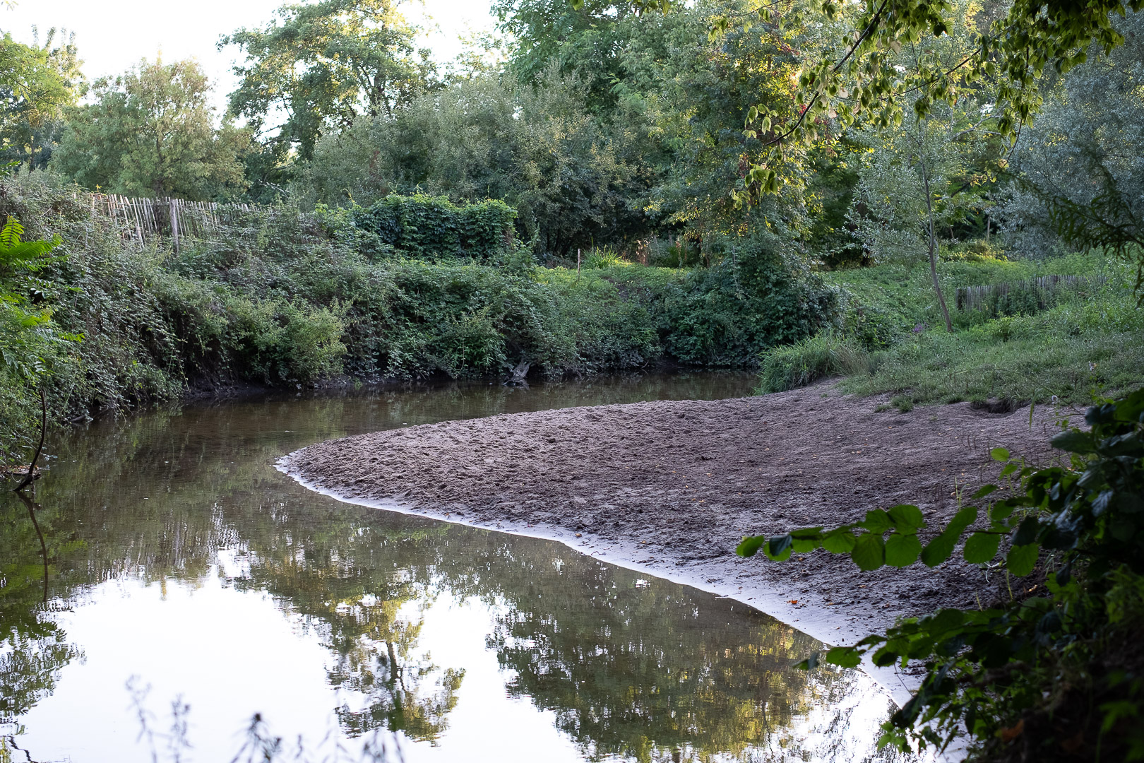 Parc de Mussonville