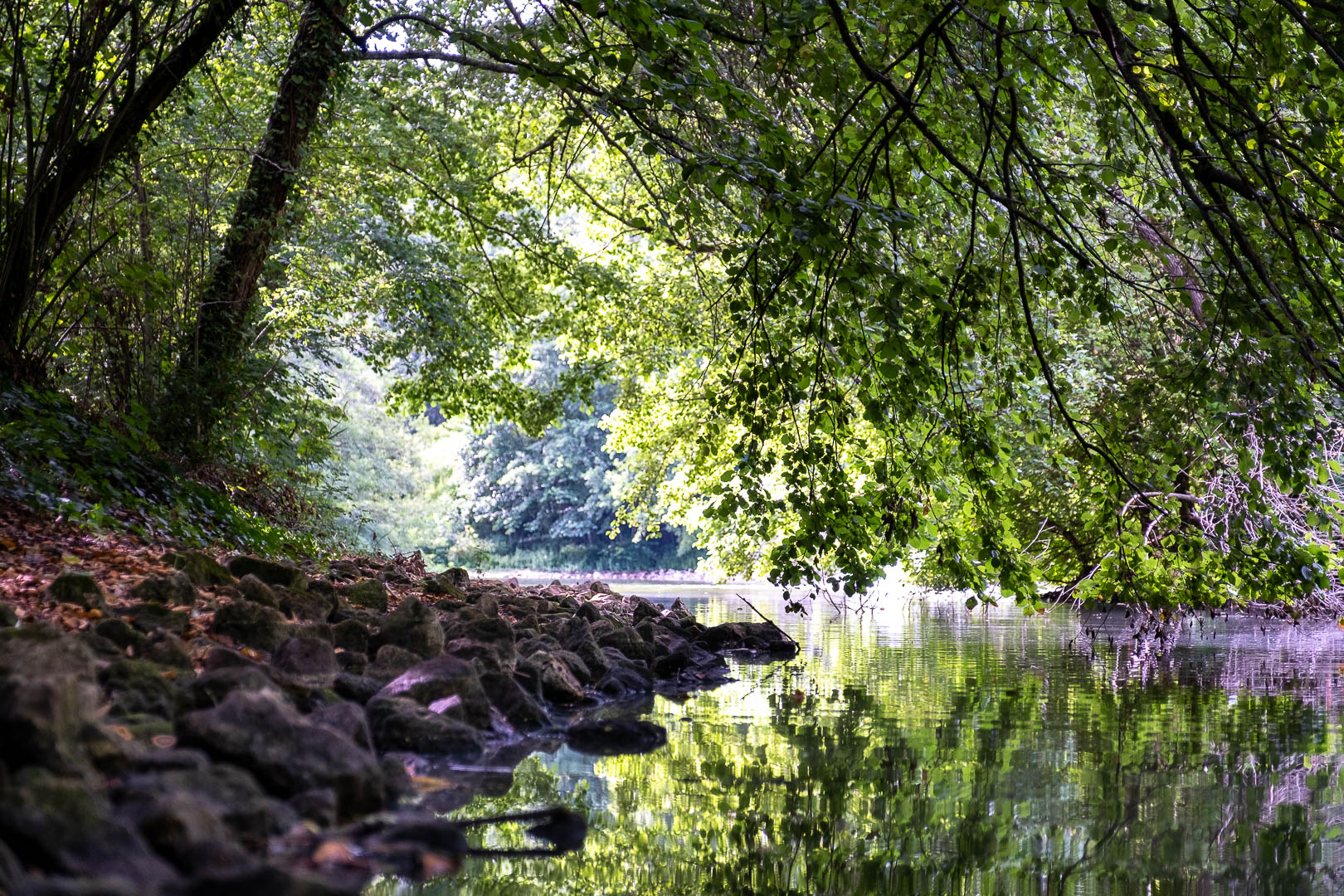 Parc du moulin d'Ornon