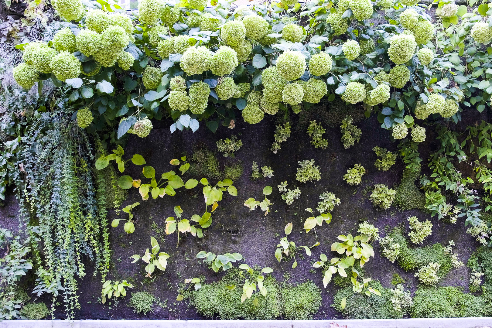 Square Vinet (Jardin Vinet)